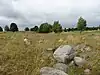 Findlinge im Reservat Rutka