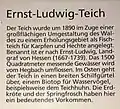 Rhein Main Info Grafik Ernst Ludwig Teich