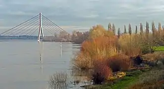 Rhein bei Grimlinghausen