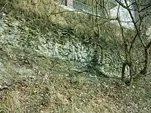 Steilufer an der Ems in Rheine