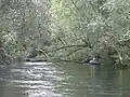 Rheinseitenkanal