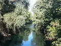 Rheinseitenkanal in Freistett