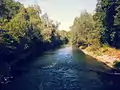 Rheinseitenkanal beim Peterhafen