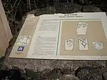 Rhynie Pictish Symbol Stones