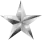 Award Star (silber)