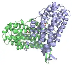 Ribonukleotiddiphosphat-Reduktase, kleine Untereinheit