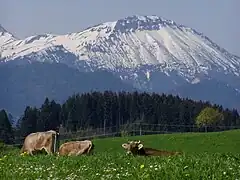 Breitenberg im Frühling