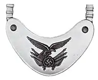 Ringkragen für einen Fahnenträger der Luftwaffe