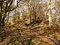 Schanzenkopf am Ringwall Bleidenberg: Blick Richtung Nordwesten