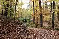 Wall 3 auf der Nordkuppe des Dommelbergs mit angeschnittener Südkante des Walls