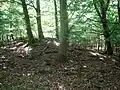 Der westliche Wall am Eingangstor