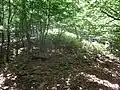 Westlicher Wall, auf dem sich deutlich Reste des Mauerwerks finden