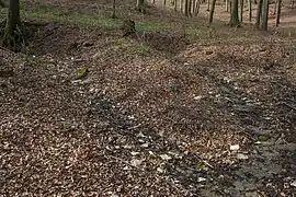 Zusammenführung