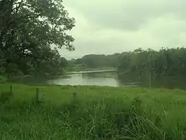 Der Río Cauca bei La Virginia