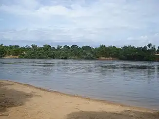 Der Río Vaupés bei Mitú