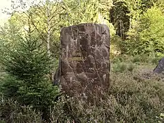 Ritterstein 231An der Karlsmühle