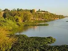 Der Niger-Fluss, die Inseln und das Tal
