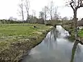 Die Rizonne von Saint-Aulaye kommend