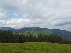 Blick über die Roßbachalm nach Nordosten auf den Roßbachkogel.