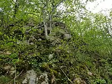 Roche d'Or Kernburg