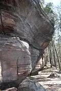 Saufelsen
