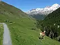 Blick auf die Rofenhöfe