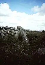 Portal Tomb von Roshin South