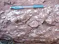 Rosso Ammonitico
