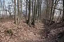 Sächsische Landwehr bei Roth (Römhild)
