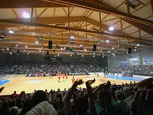 Handballspiel MT Melsungen gegen HSV Hamburg am 30. Mai 2009