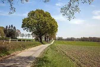 Auf der Kuppe des Rothen Berges, Blick nach Südosten