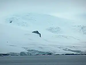 Blick von der English Strait auf den Rousseau Peak oberhalb der Eismassen des Fuerza-Aérea-Gletschers mit der Arturo-Prat-Station im Vordergrund