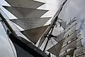 Bug