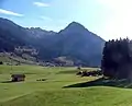 Rubihorn (2003)