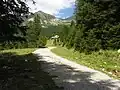 Grafenalm auf dem zur Rudolf-Schober-Hütte führenden Forstweg