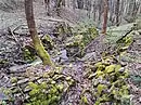 Ruine am Bach in Rudoltovice