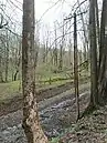 Stromleitungsmast in Rudoltovice