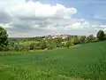 Rübgarten und das Reichenbachtal