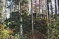 Mauerreste der Riedburg