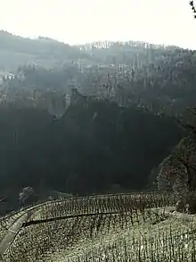 Ausblick von der Klus in Aesch Baselland zum Höhenzug. Ruine Schalberg oder Alt-Schalberg.