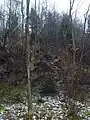 Burgberg der Ruine Wimberg