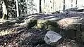 Mauerreste der Ruine Wolfartsweier