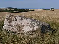 Runddysse vom Galgebjerg