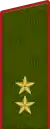 Heer – Uniform Grundform, Russische Streitkräfte ab 2010.