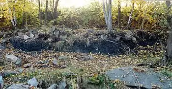 Geologisches Naturdenkmal: sichtbarer Ausbiss des Rußkohlenflözes (Westfalium der Vorerzgebirgs-Senke)