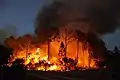 Waldbrand