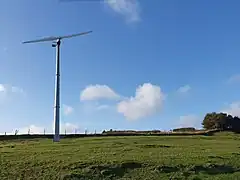 Zweiflügler