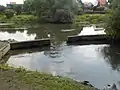 Überlaufschwelle zur Oker auf Höhe von Melverode, Blickrichtung nach Osten zum Ort, Juli 2017