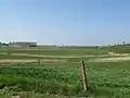 Sültener Salzwiesen