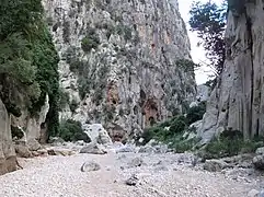 S’Entreforc aus demTorrent de Lluc